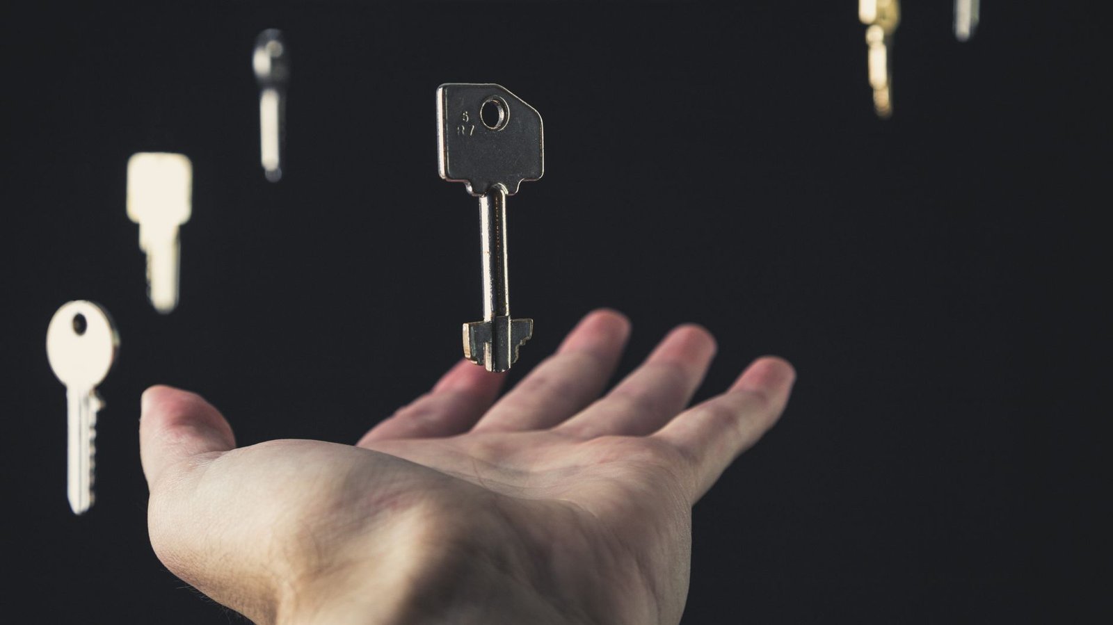 Unlocking the Power of AI: A Hands‑On Guide to the Top Open‑Source Tools - aidiscoverydigest